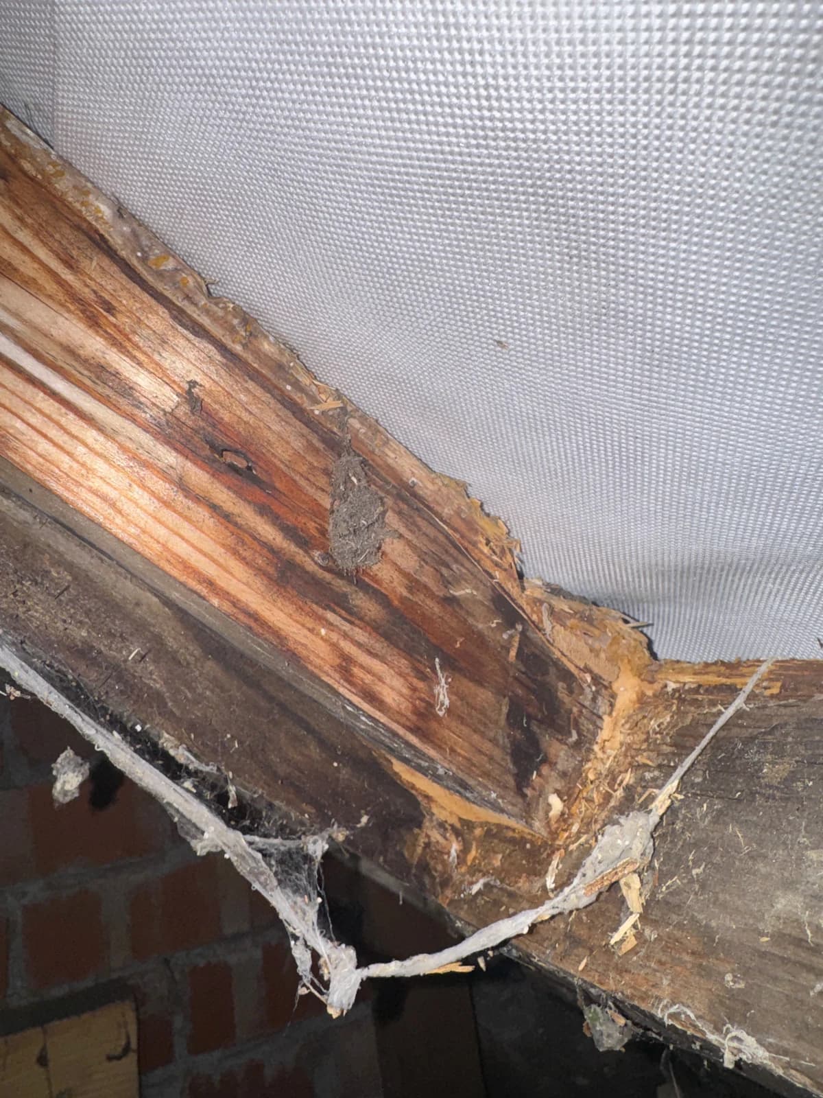Deteriorated timber at a junction inside a roof space.